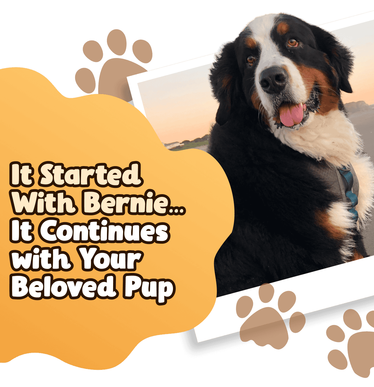 It Started With Bernie…  It Continues with Your Beloved Pup