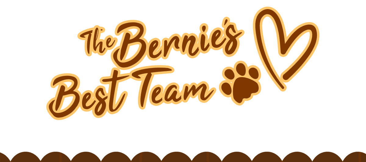 The Bernie's Best Team  >> SHOP FOR 10% OFF <<