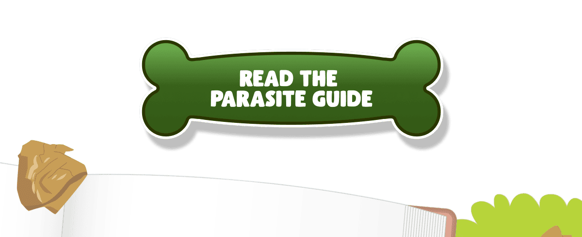 READ THE PARASITE GUIDE