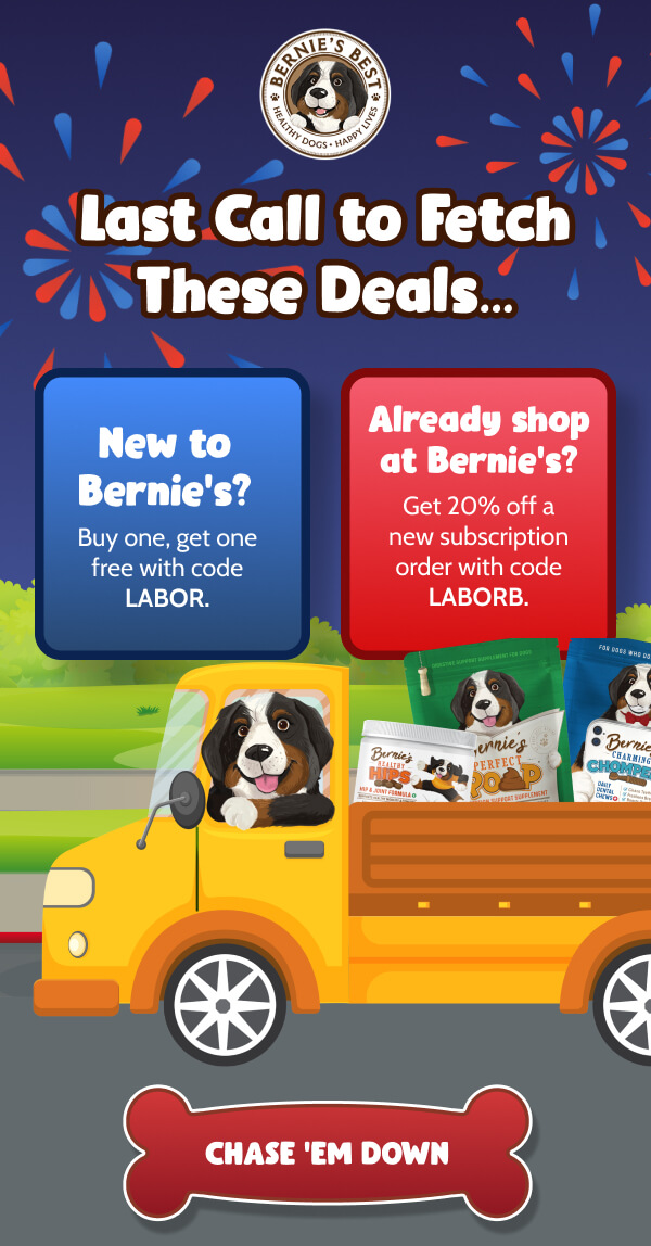 Last Call to Fetch These Deals… >> CHASE 'EM DOWN << 