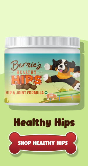 Healthy Hips >> SHOP HEALTHY HIPS <<