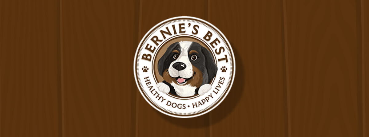 Bernie's Best