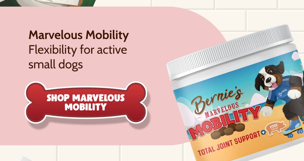 Marvelous Mobility  Flexibility for active small dogs >> SHOP MARVELOUS MOBILITY <<