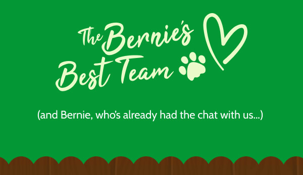 The Bernie’s Best Team (and Bernie, who’s already had the chat with us…) 