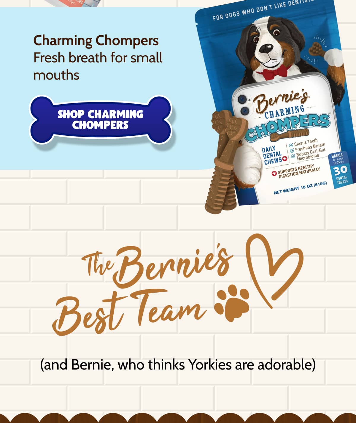 Charming Chompers  Fresh breath for small mouths  >> SHOP CHARMING CHOMPERS << 