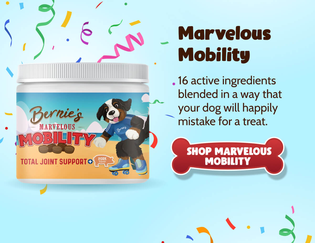 Marvelous Mobility 16 active ingredients blended in a way that your dog will happily mistake for a treat.  >> SHOP MARVELOUS MOBILITY <<