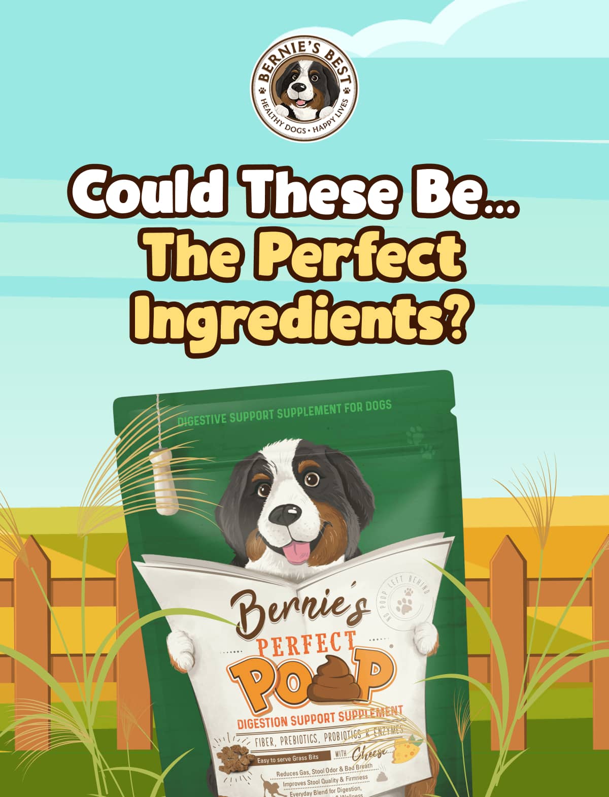 Could These Be…  The Perfect Ingredients?