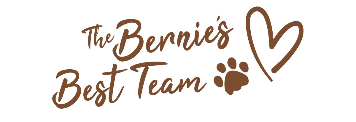 The Bernie’s Best Team