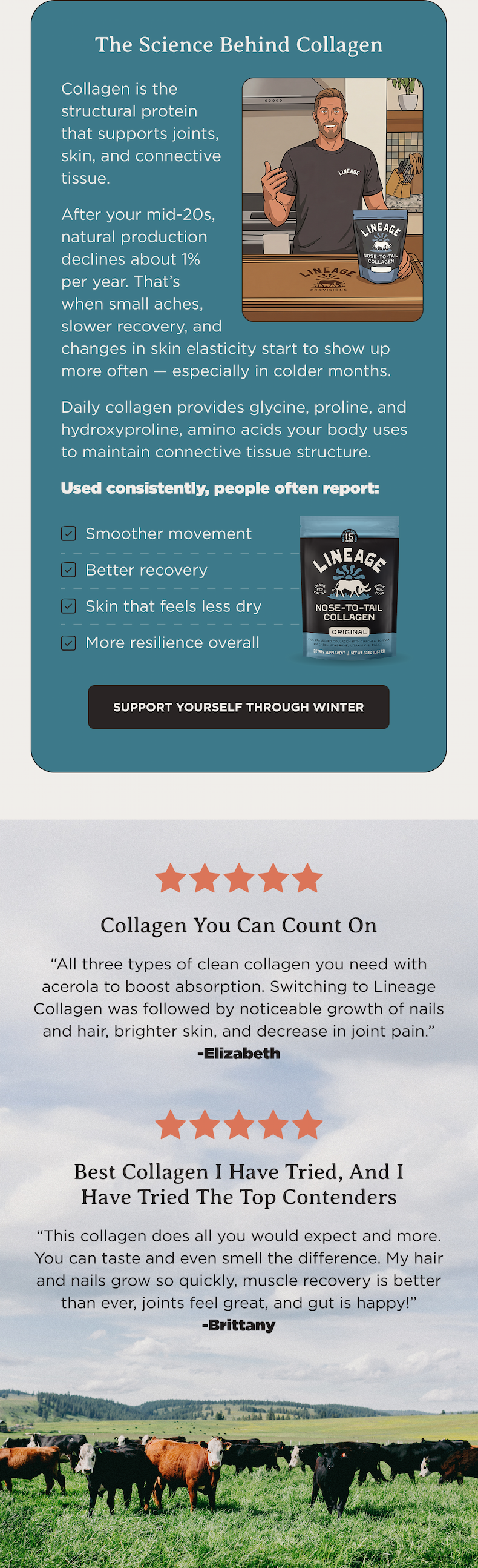 The science behind collagen