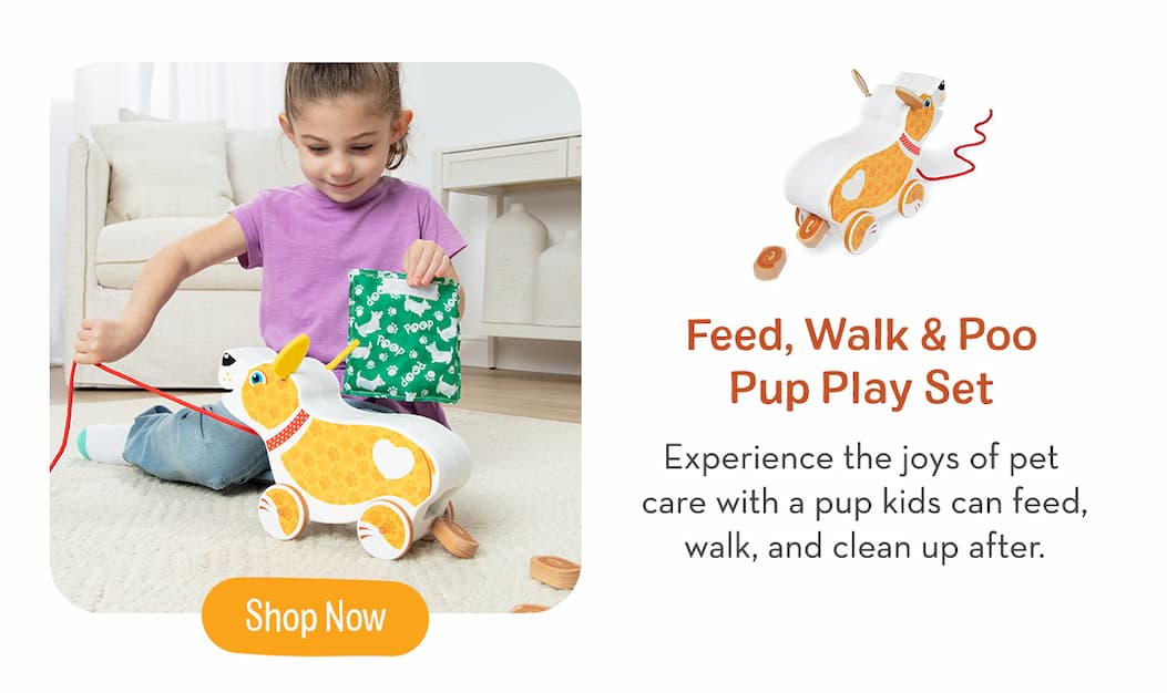 Feed, Walk & Poo Pup Play Set