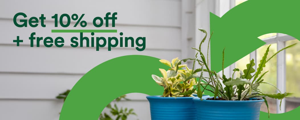 TC Made Sale 10% Off