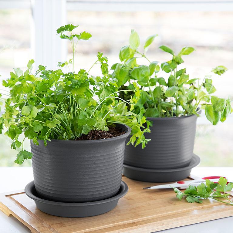 SET of 2: Large Round Plant Pot