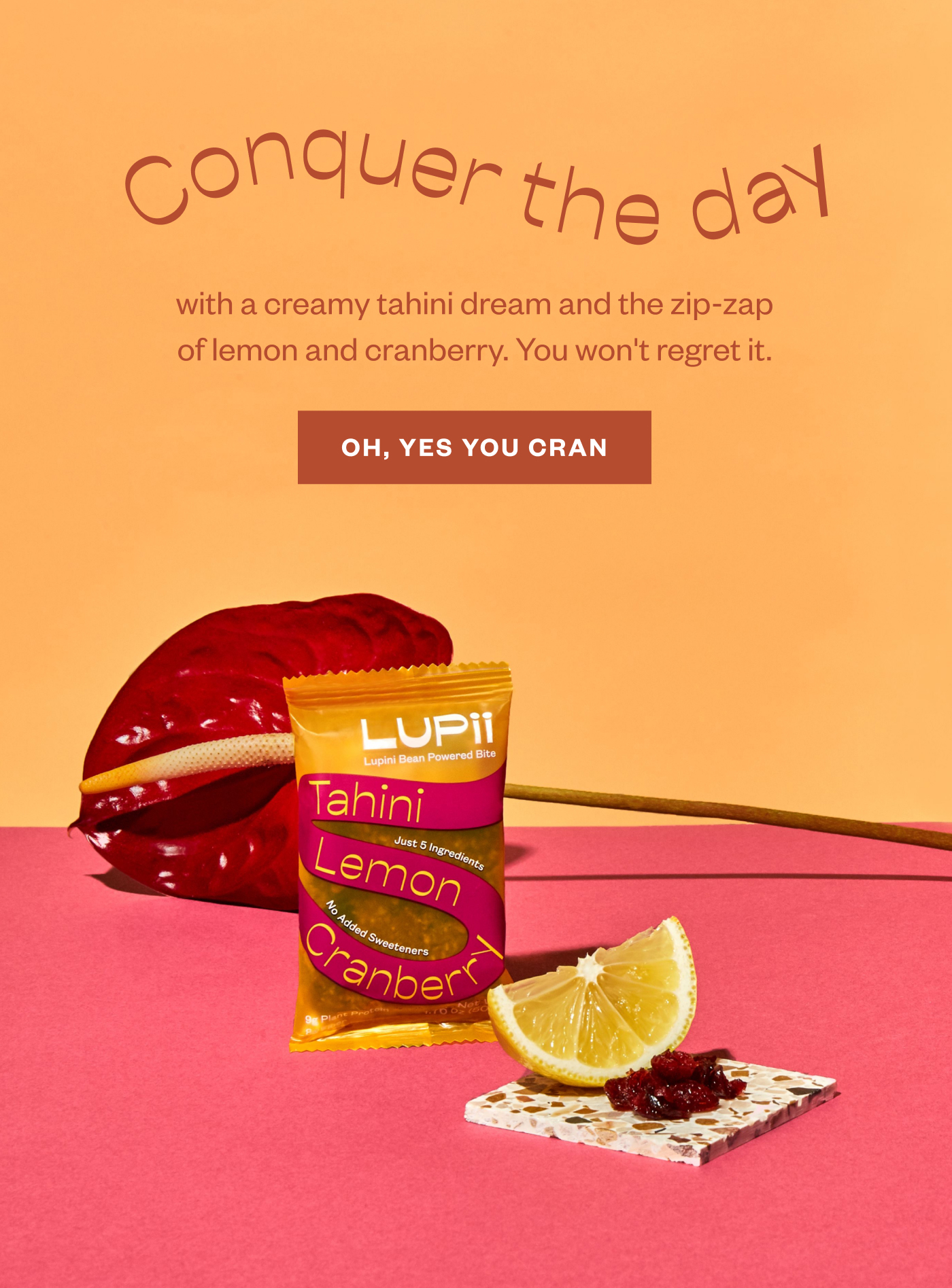 Conquer the day with a creamy tahini cream and the zip-zap of lemon and cranberry. You won't regret it. Oh, yes you cran