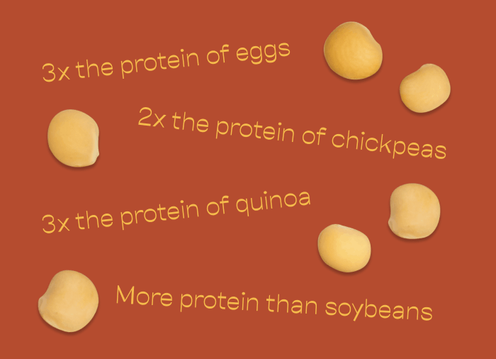3x the protein of eggs 2x the protein of chickpeas 3x the protein of quinoa More protein than soybeans 