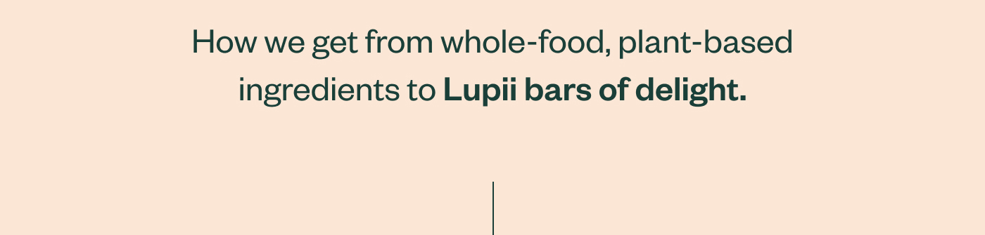 How we get from whole-food, plant-based ingredients to Lupii bars of delight.