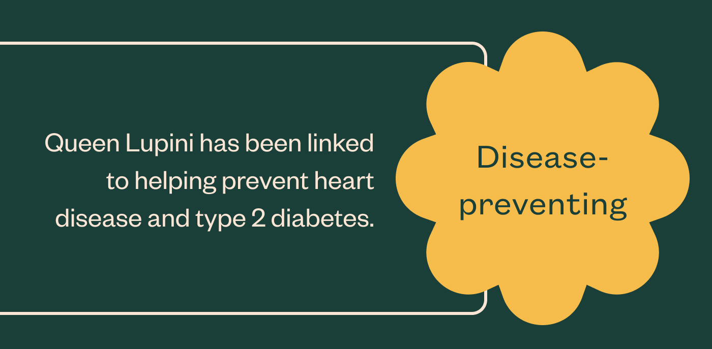 Disease-preventing Queen Lupini has been linked to helping prevent heart disease and type 2 diabetes.