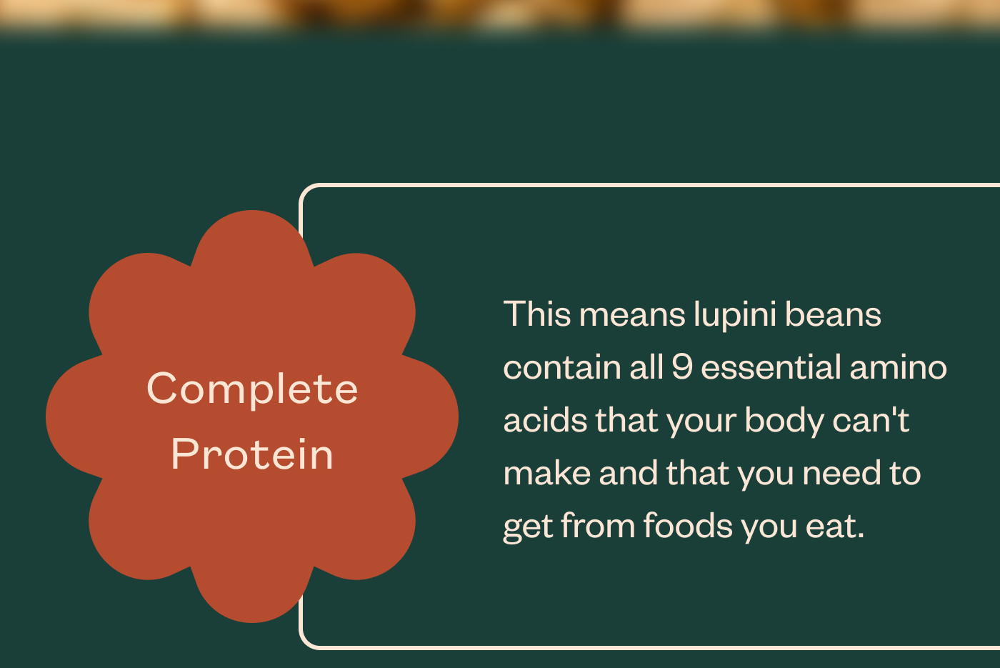 Complete protein This means lupini beans contain all 9 essential amino acids that your body can't make and that you need to get from foods you eat.