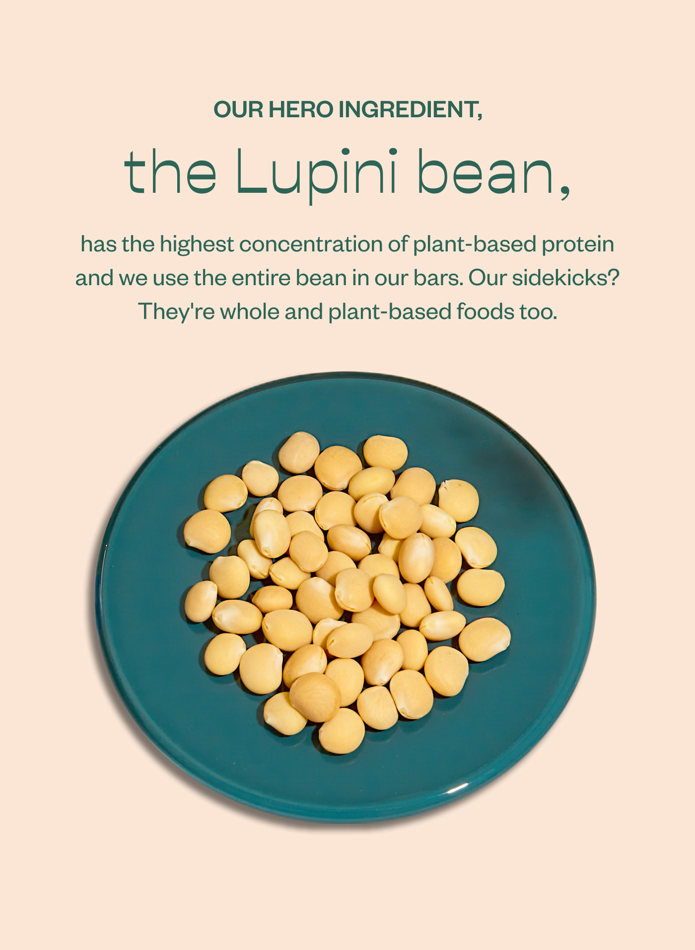 Our hero ingredient, the Lupini bean, has the highest concentration of plant-based protein and we use the entire bean in our bars. Our sidekicks? They're whole and plant-based foods too.