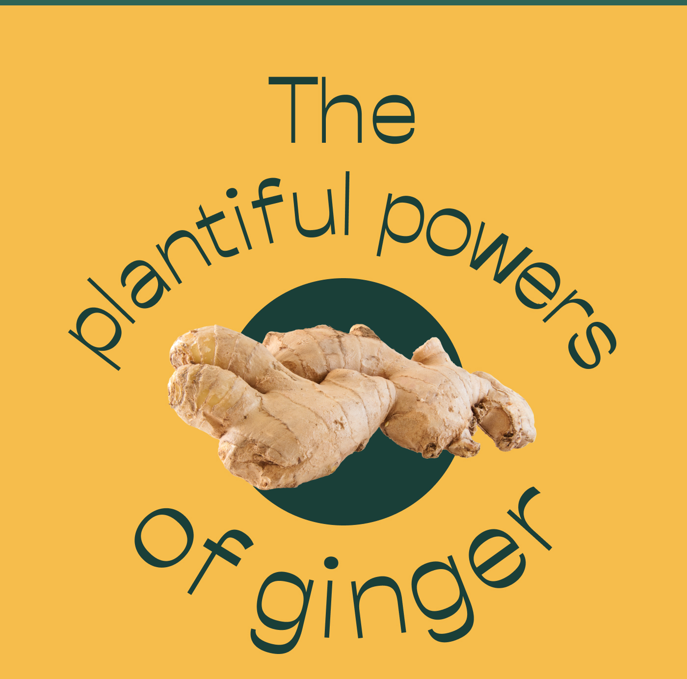 The plantiful powers of ginger