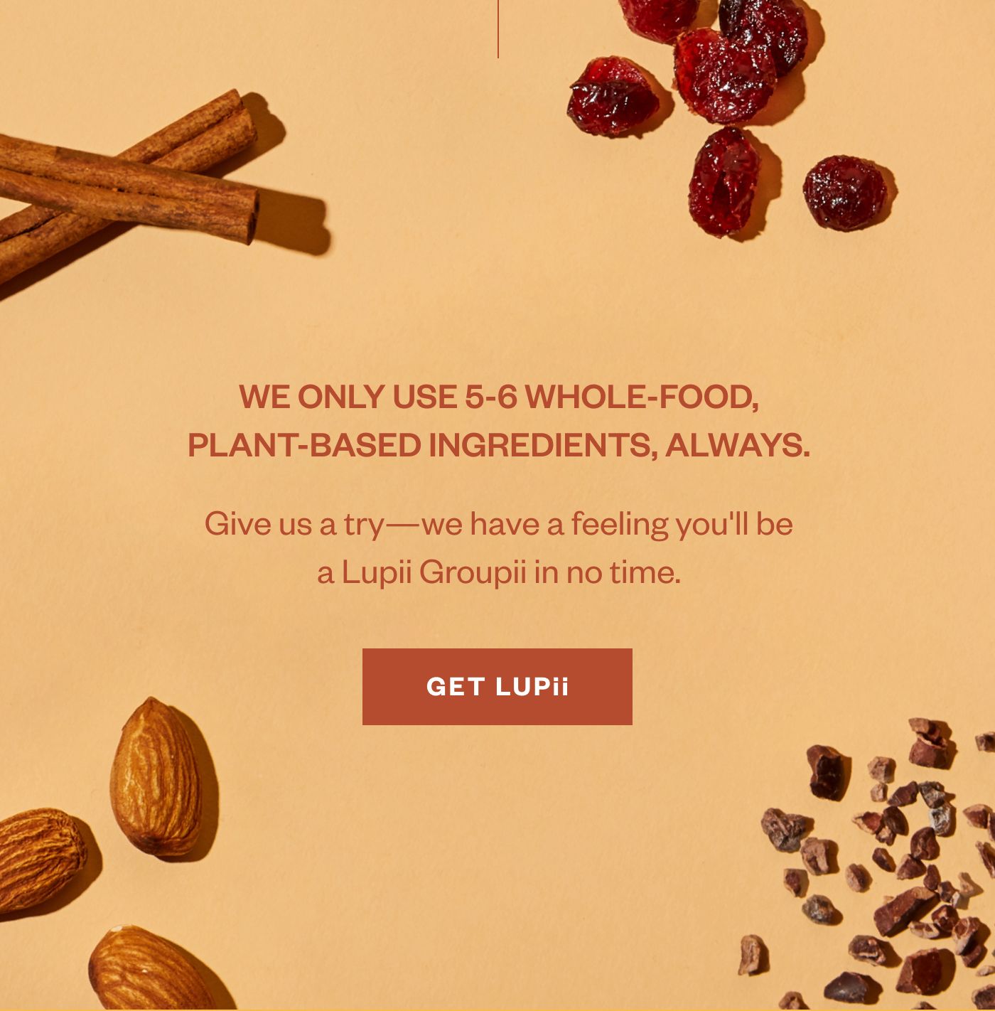 We only use 5-6 whole-food, plant-based ingredients, always. Give us a try- we have a feeling you'll be a Lupii Groupii in no time. Get Lupii