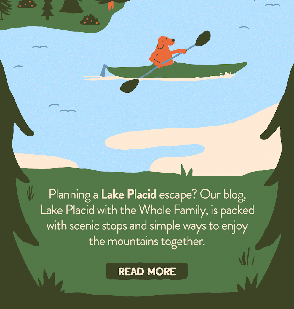 Read More