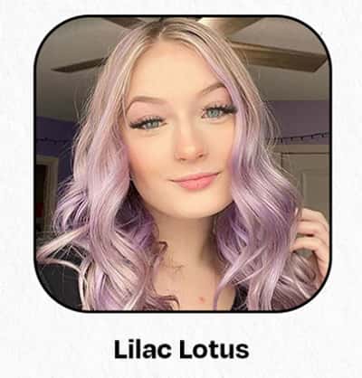 Lilac Lotus