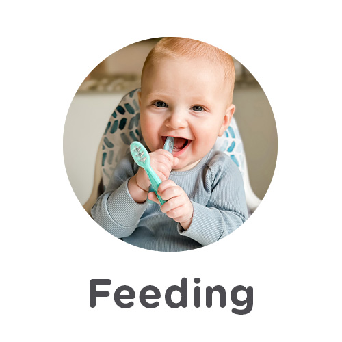 Shop Feeding