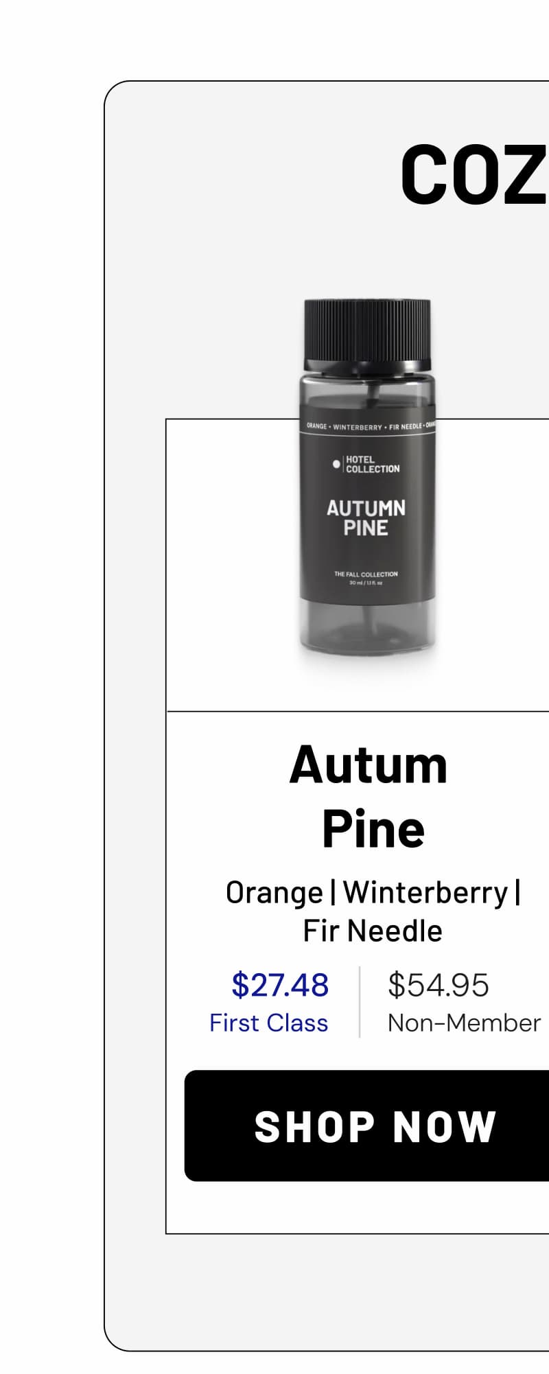 AUTUMN PINE | SHOP NOW