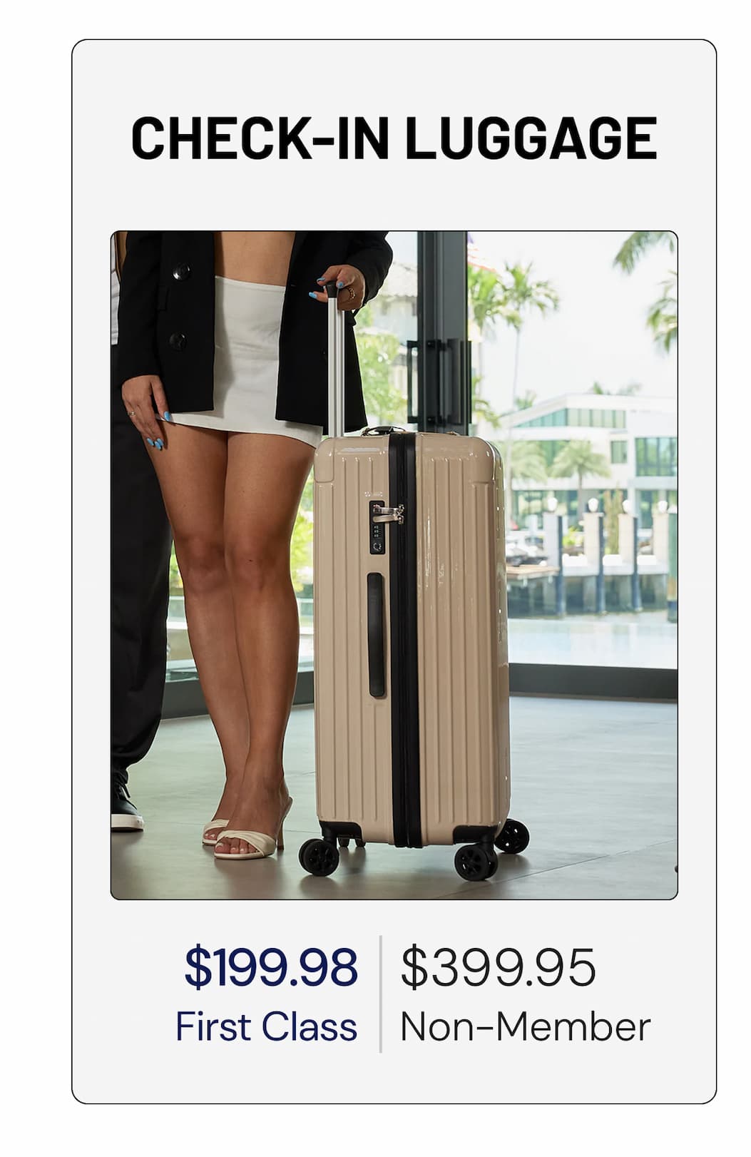 CHECK-IN LUGGAGE