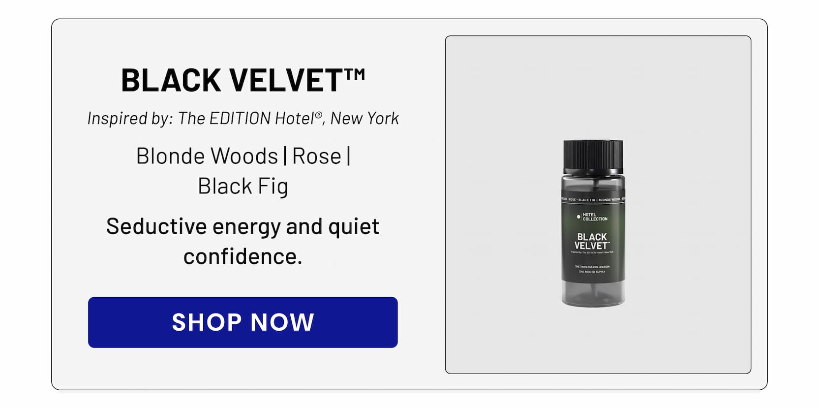 BLACK VELVET | SHOP NOW