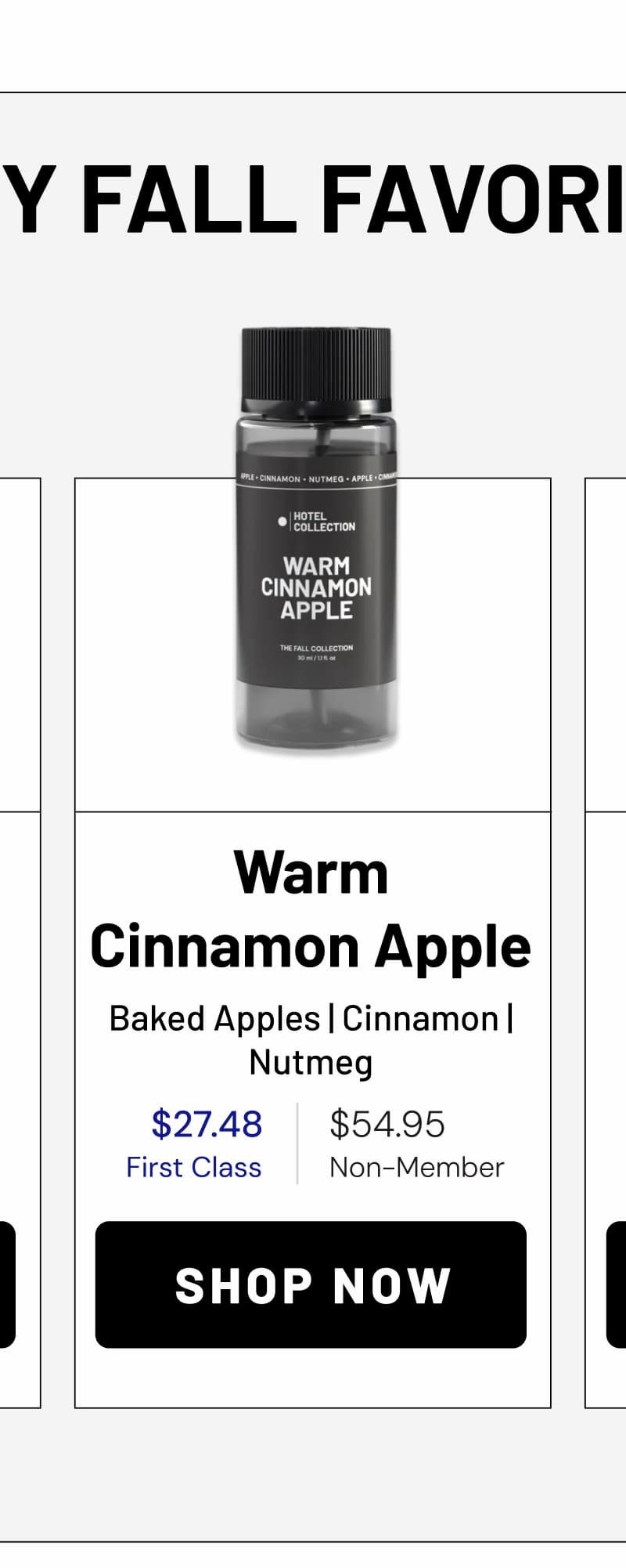 WARM CINNAMON APPLE | SHOP NOW