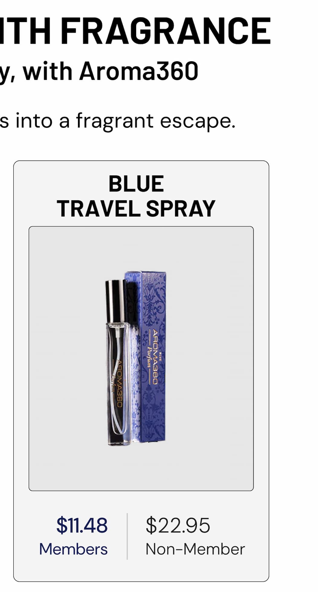 BLUE TRAVEL SPRAY