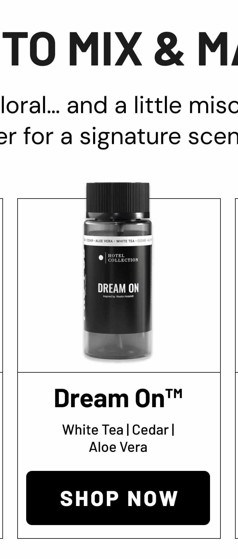 DREAM ON | SHOP NOW