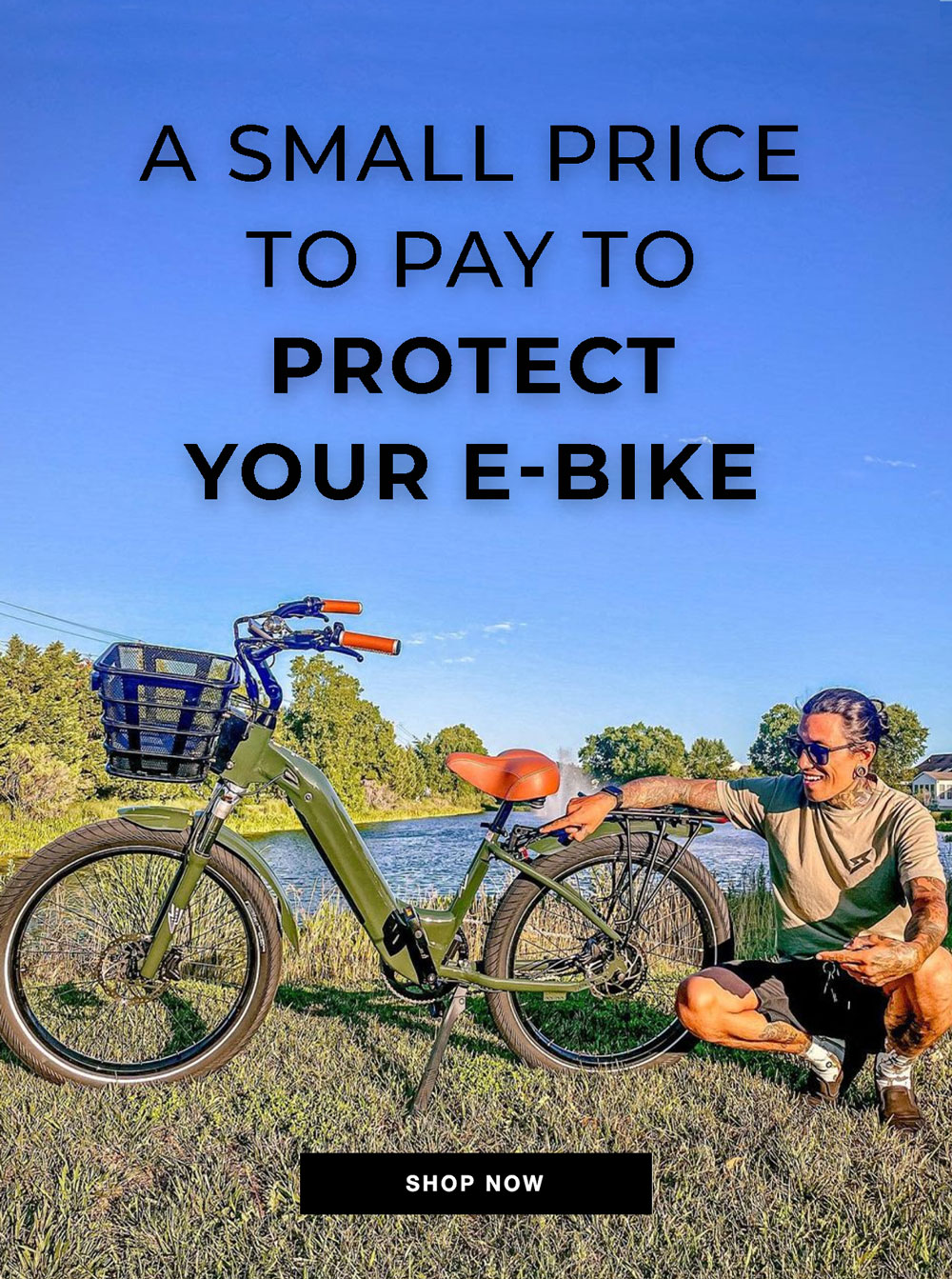A Small Price To Pay To Protect Your EBike Electric Bike Company
