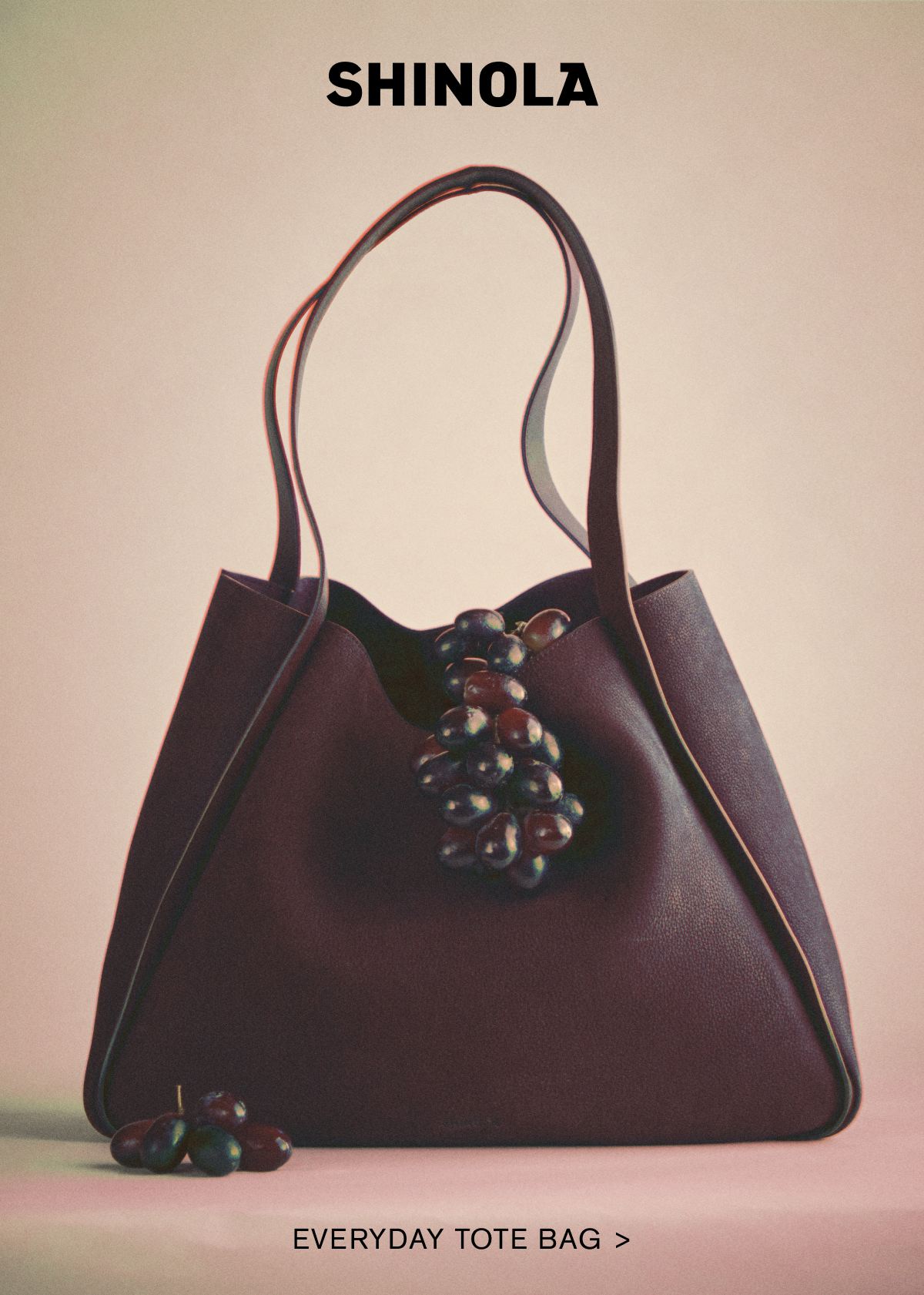 EVERYDAY TOTE BAG > EVERYDAY TOTE BAG >