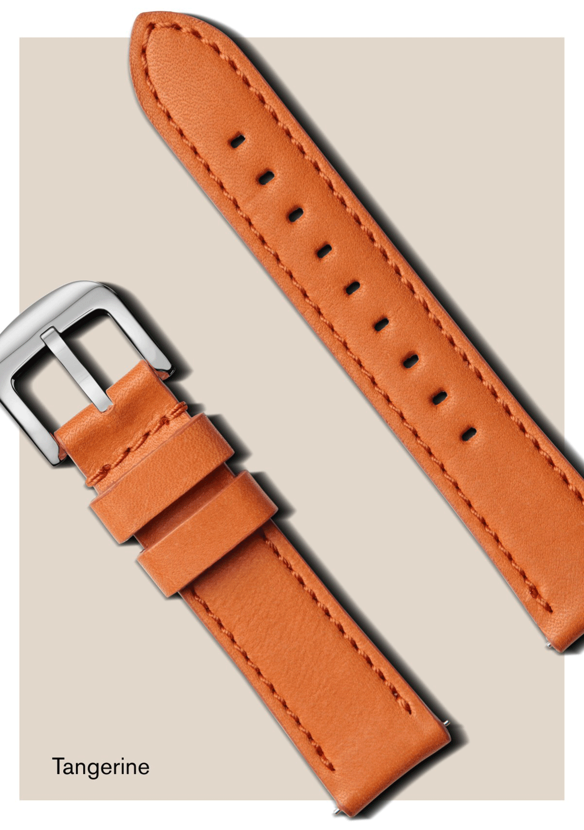 Evergreen, Tangerine, River, Merlot, Forest