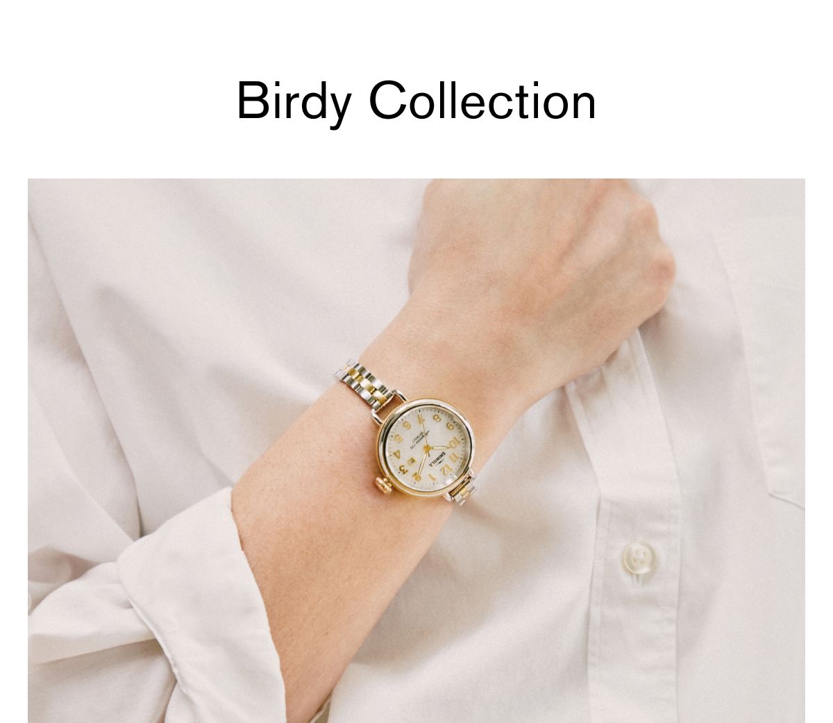 Birdy Collection Birdy Collection