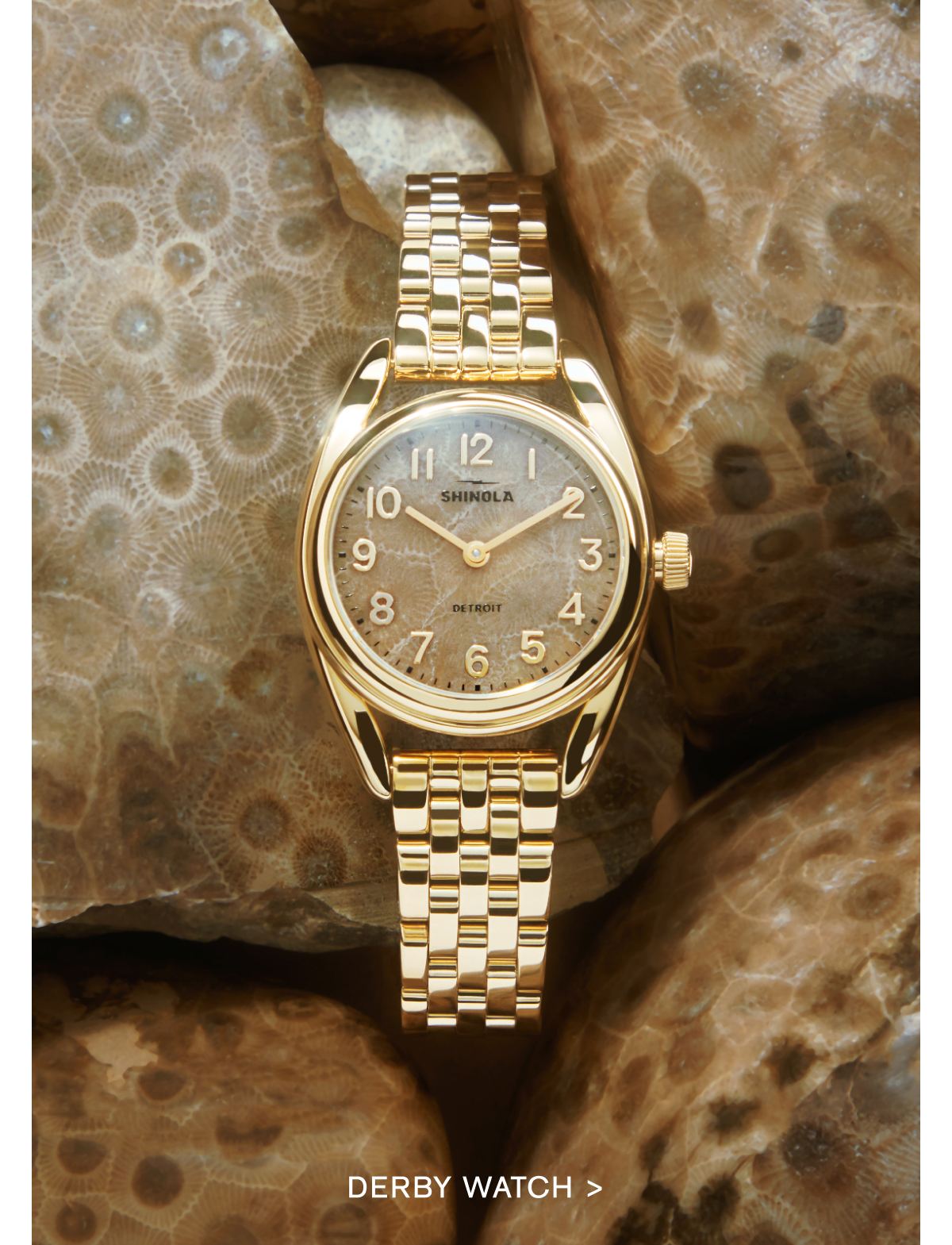 DERBY WATCH