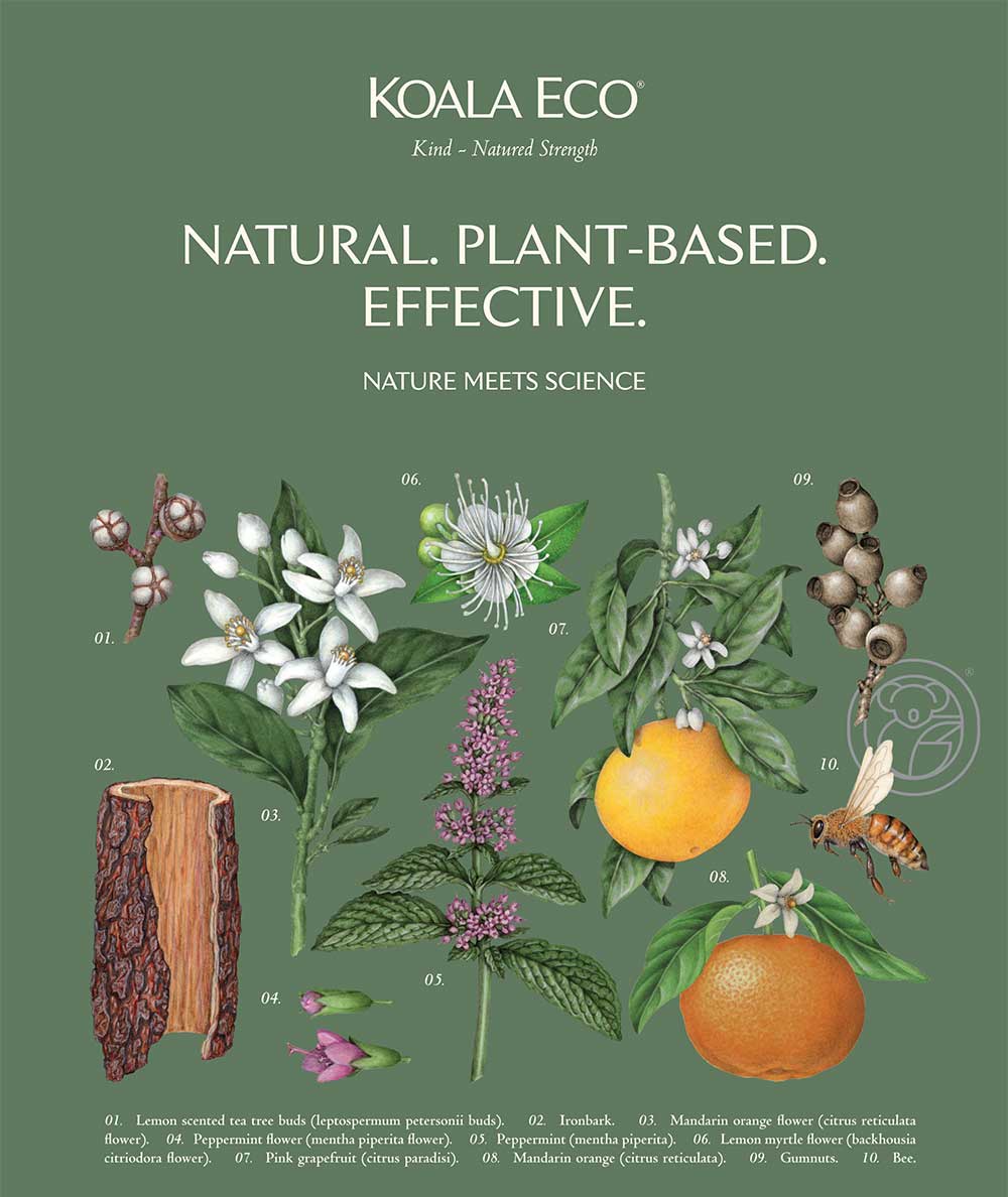 Natural. Plantbased. Effective. Koala Eco