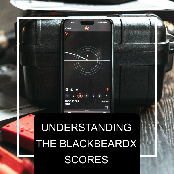 Understanding the BlackbeardX Scores