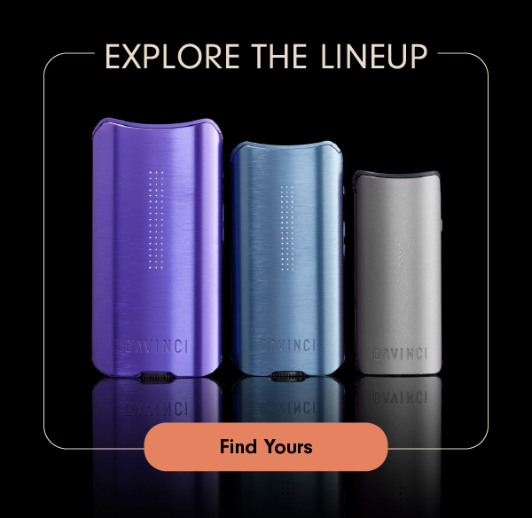 Explore the lineup.