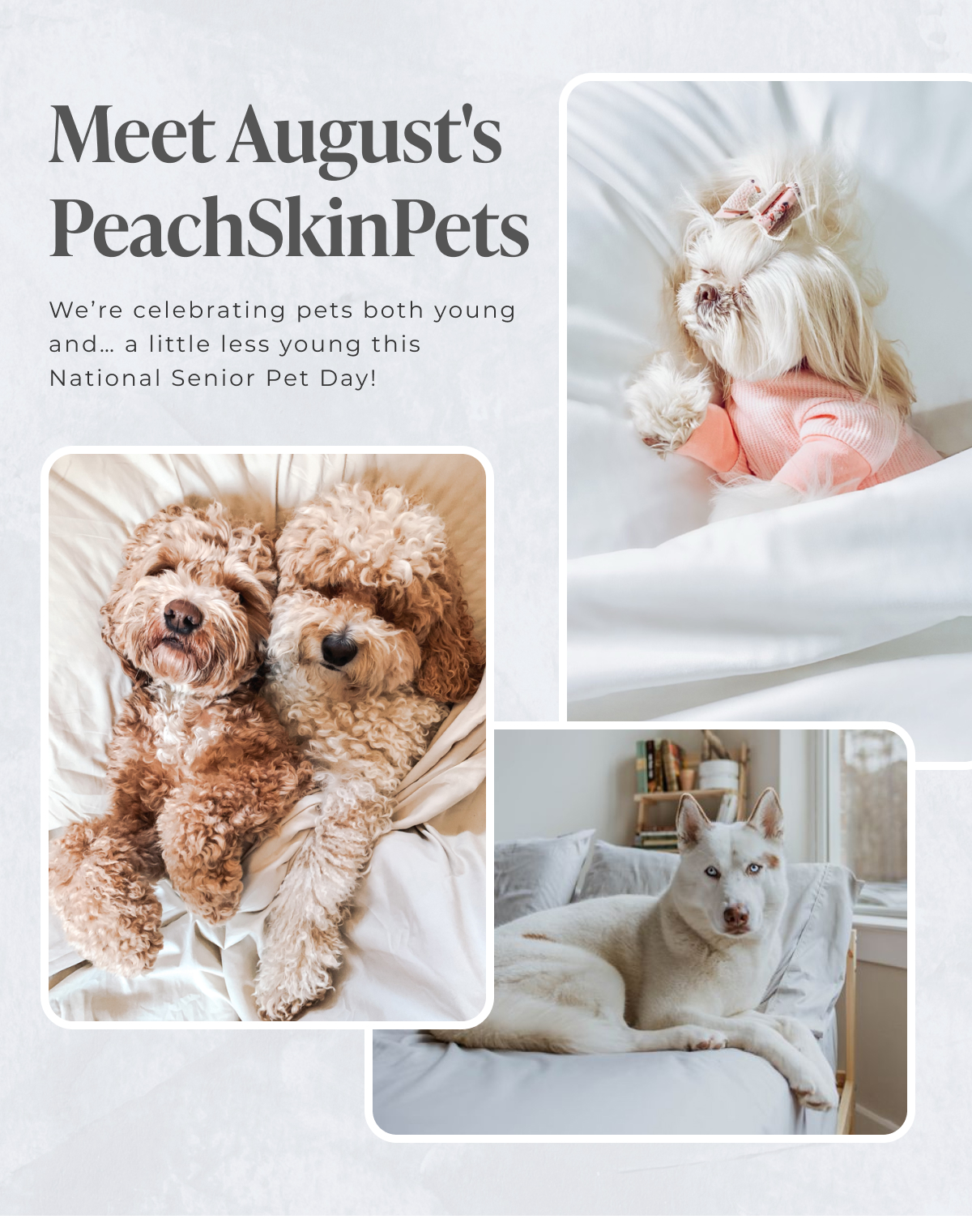 Meet August's PeachSkinPets