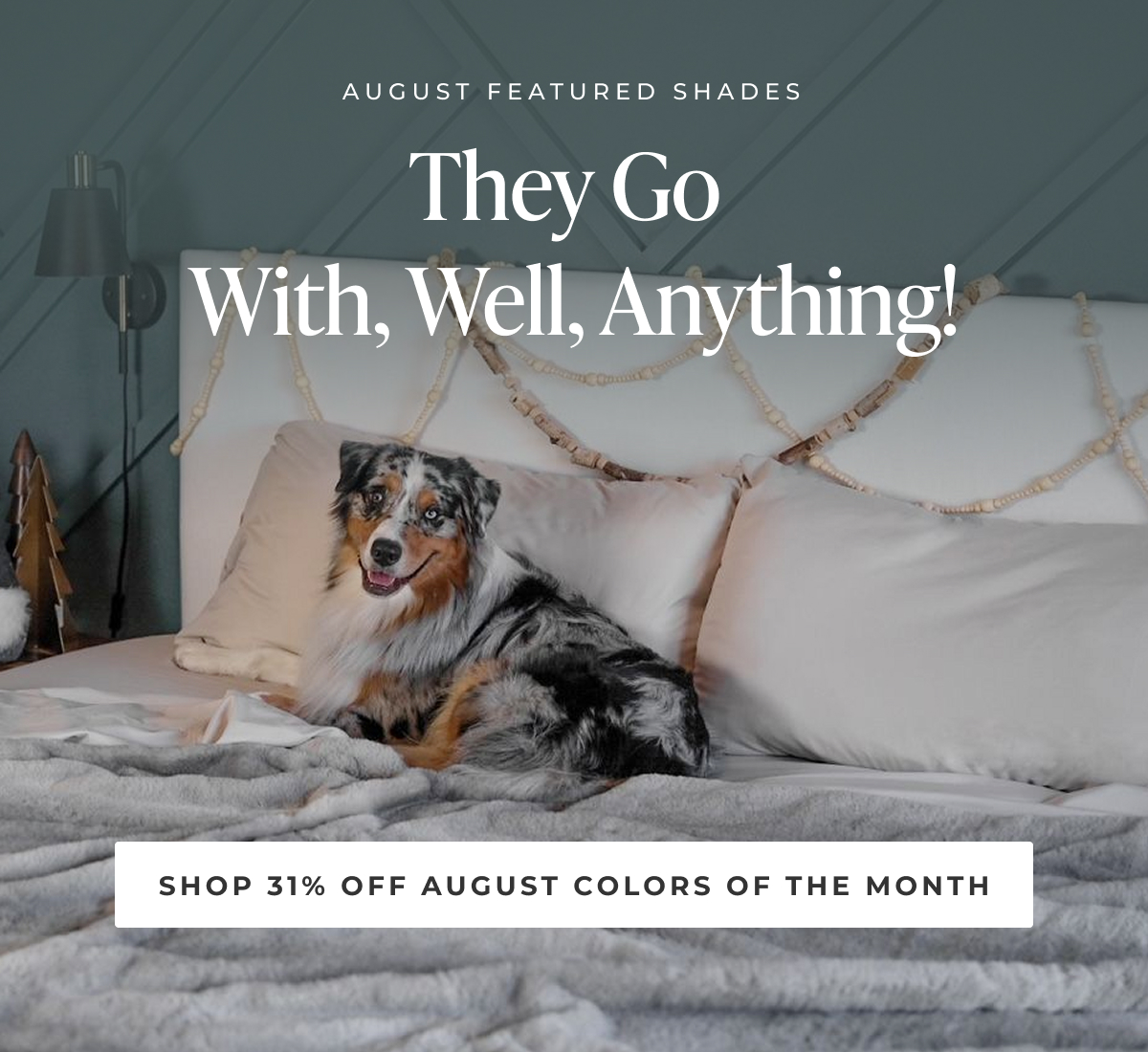 Shop 31% Off August Colors of the Month