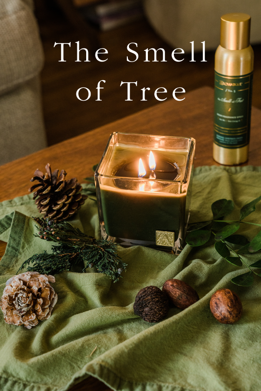 🌲 The Smell of Tree 🌲 Aromatique