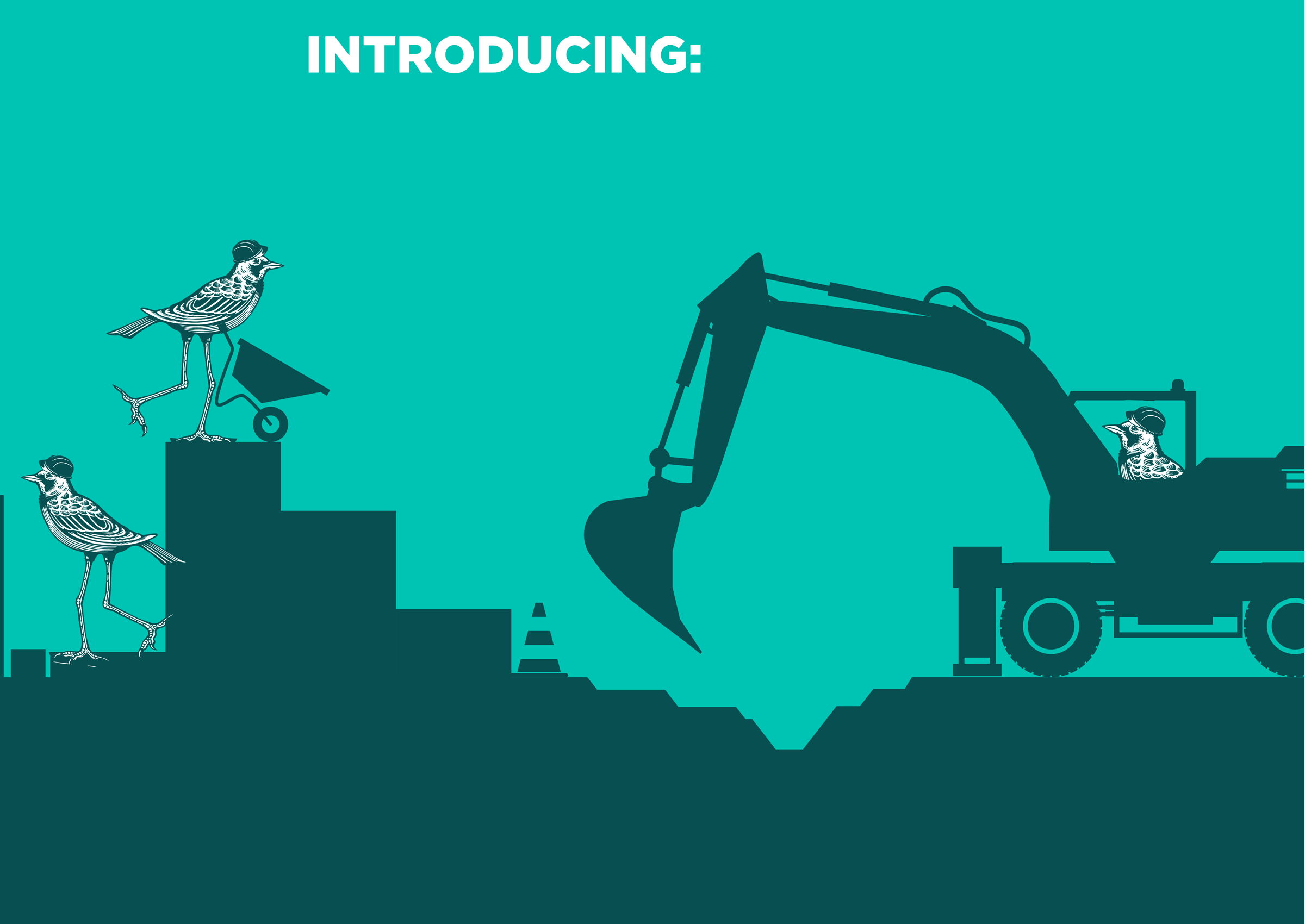 Introducing the Custom Variety Pack HopTea