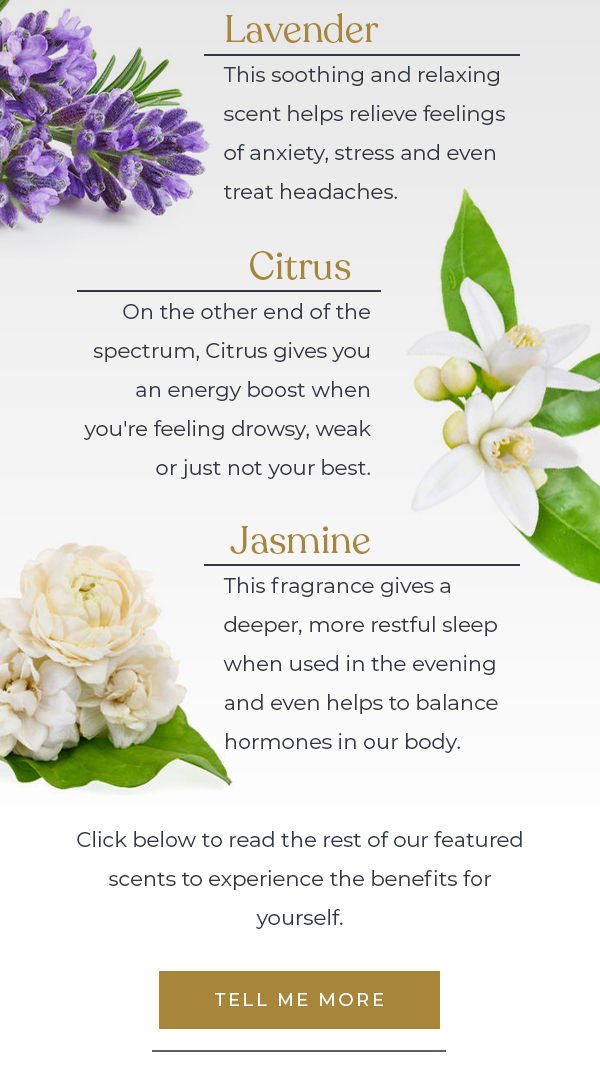 10 Powerful Scents You Need To Experience! Nuhr Home