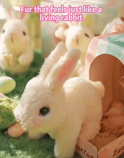 Pre-biotic Supplement for Dogs