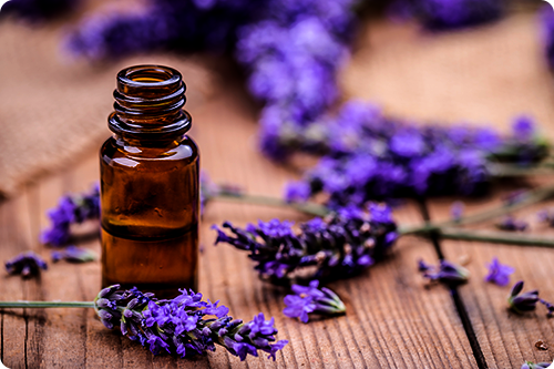 Does Lavender Help You Sleep?