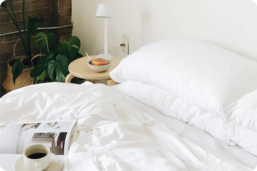 Cozy Earth Silk Pillow