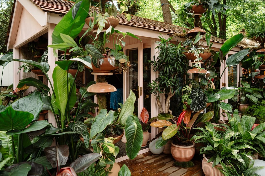 Vertical hanging houseplant display